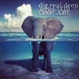 DigRealDeep_episode_1401