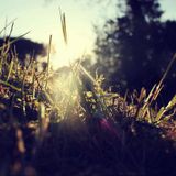 Elementrix - Summer on my mind