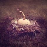Circuncelion - Begotten - Forgotten
