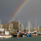 Estuary Tales 3: Farming