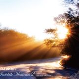 Indelible Memories 2 "The Start Of Ending"