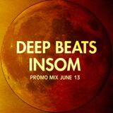 DeepBeats promomix June13 - INSOM