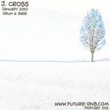Future-DNB.com Podcast 001 January 2011