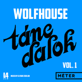 MASH5 - Wolfhouse Táncdalok Vol. 1 /Nu-Disco/Club/House/