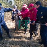 Captura del puma