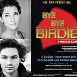 Bye Bye Birdie