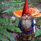 EN LA CRESTA N°68 - Columna de Gonchi: Gnomos - 10/9