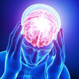 Kingston Brain Injury Group - Small Steps.