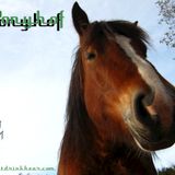 Ponyhof