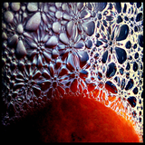 The Love Bubble Aspiration