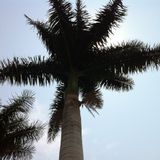 Beach Vibes - a short mix that I made,in 2011 I hope you like it!