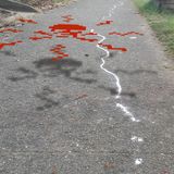 Broken Lines In the MIX