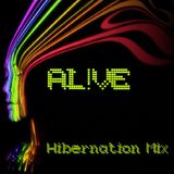The Hibernation Mix (1/28/13)