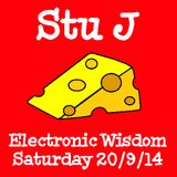 "Obviously" - Electric Wisdom 20/9/2014