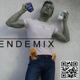ENDEMIX selection SUMMERMIX 2015