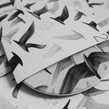 NORTHSIDERS // olo.b x Danny V // Tupot Białych Mew // Mewa Towarzyska B-Day Set