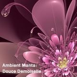 Ambient Manta - Douce Demoiselle
