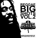REGGAE BIG SHOTS VOL.2 - RUNNING IRIE SOUND