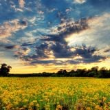 DJ PIKAY - Summer House-Electro Mix 2012.08