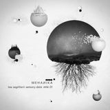 THE SEDNA SESSIONS-TAU SAGITTARII-SENSORY DATA-MEHANIKA-ONE