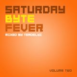 Saturday Byte Fever - Vol.2. (Mixed by terdelyi)