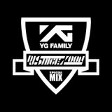 YG SPECIAL MIX
