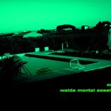 oxk system walda mental session