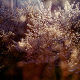 La Mixtape Du Printemps