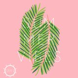 Summer Vibes // Deep & Future House Mix 2015 by Srđan Milić