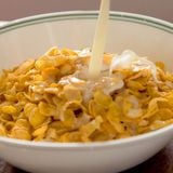 Corn Flakes Over Doz v0