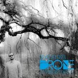 DRONE Podcast 007 - David Hulsken