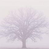 Hazy Deep