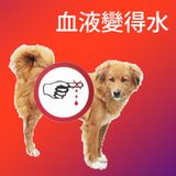 BBW MIXTAPES: MADE IN CHINA