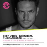 Deep Vibes - Guest Chris Gruber - 10.08.2014