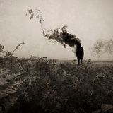 Prying Eyes