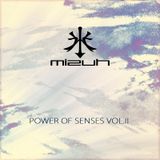 Mizuh - Power Of Senses VOL. 2