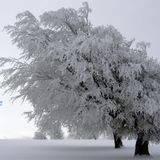 Radio Ready--Ladymode--Snowbound Part 1
