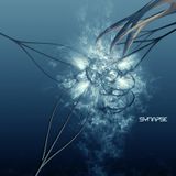 Synapses