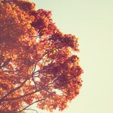 Ganda Rising "electronic" (07-10-2014)