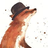 Urban Fox - 17th March - Hour 2