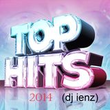 Top - Hits 2014 (dj ienz)