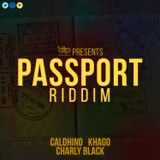 Mr. Bruckshut - "Passport Riddim (2014) Mix"