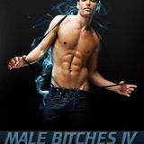 Male Bitches IV 2012 (Club Edition)