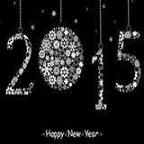 2014 Year End - FG