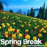 Spring Break