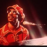 Stevie's Massive Myriad Of Miracles