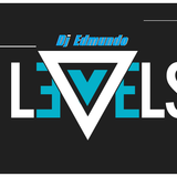 Electro levels house