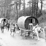 Gypsy folk podcast by Wylhelm