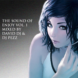 THE SOUND OF ENJOY VOL. 1 MIXED BY DAVID DJ & DJ PEZZ