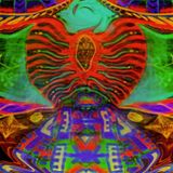 VARAZSLO @ 40 hours of psychedelic